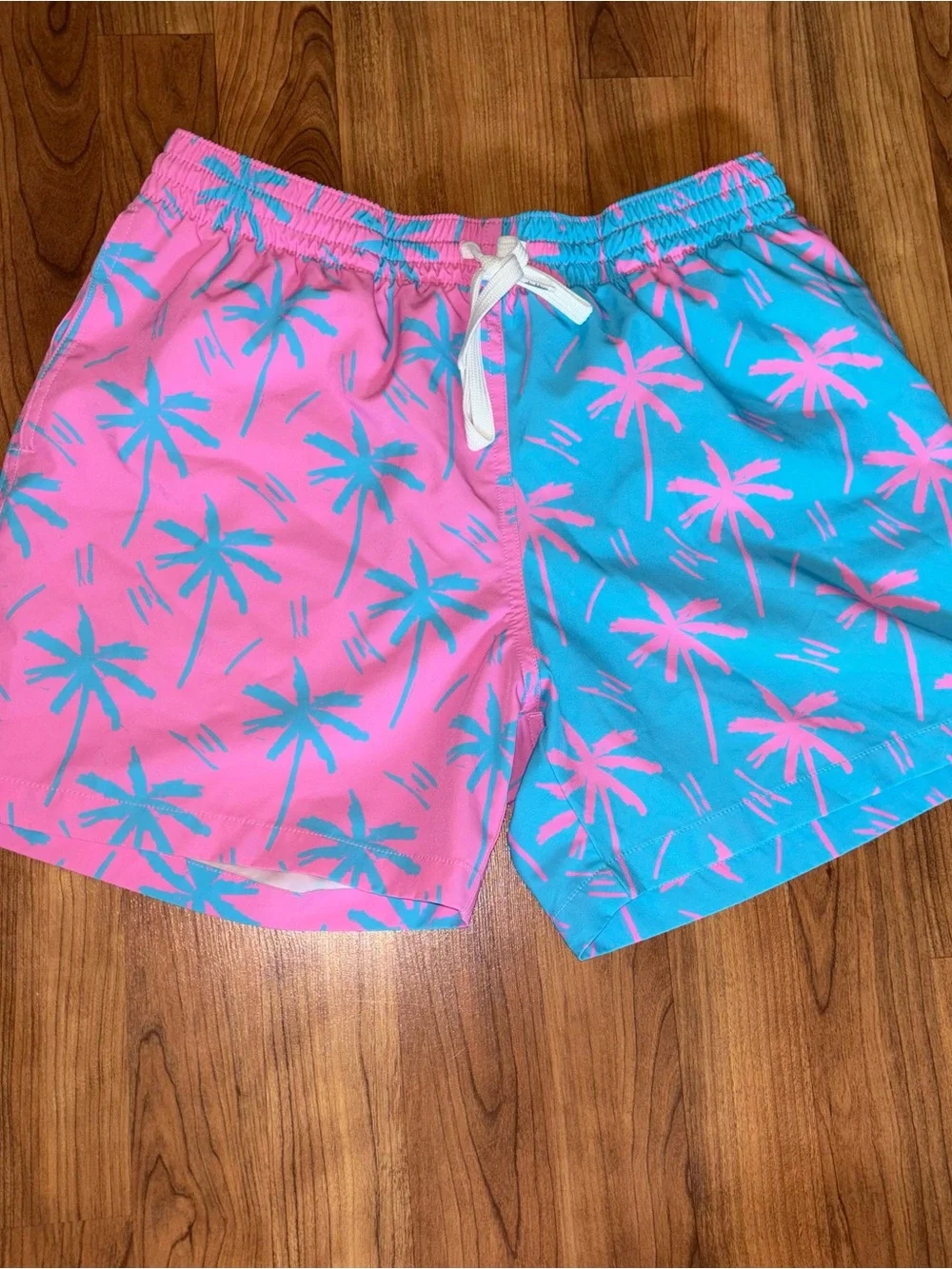 Chubbies Men's Classic 5.5